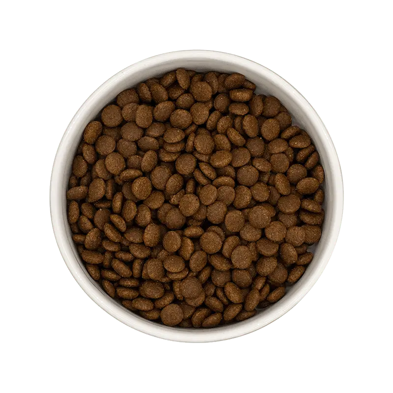 *** CHAT ADULTE, PROTECTION COEUR, DINDE POULET Felicani+