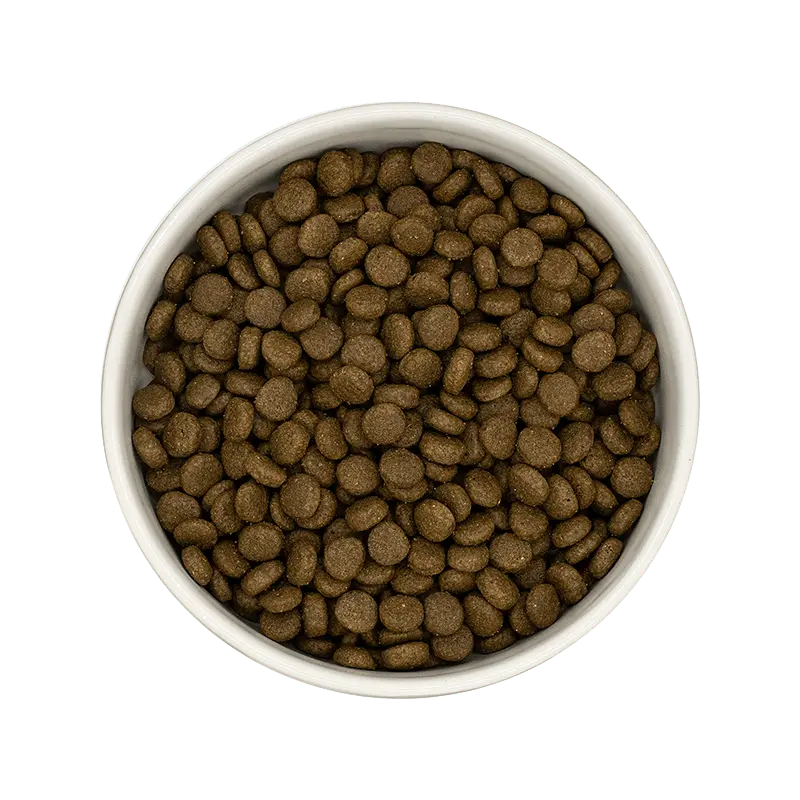 *** CHAT STÉRILISÉ, SANTÉ URINAIRE, POISSON BLANC CAVIAR DE HARENG Felicani+