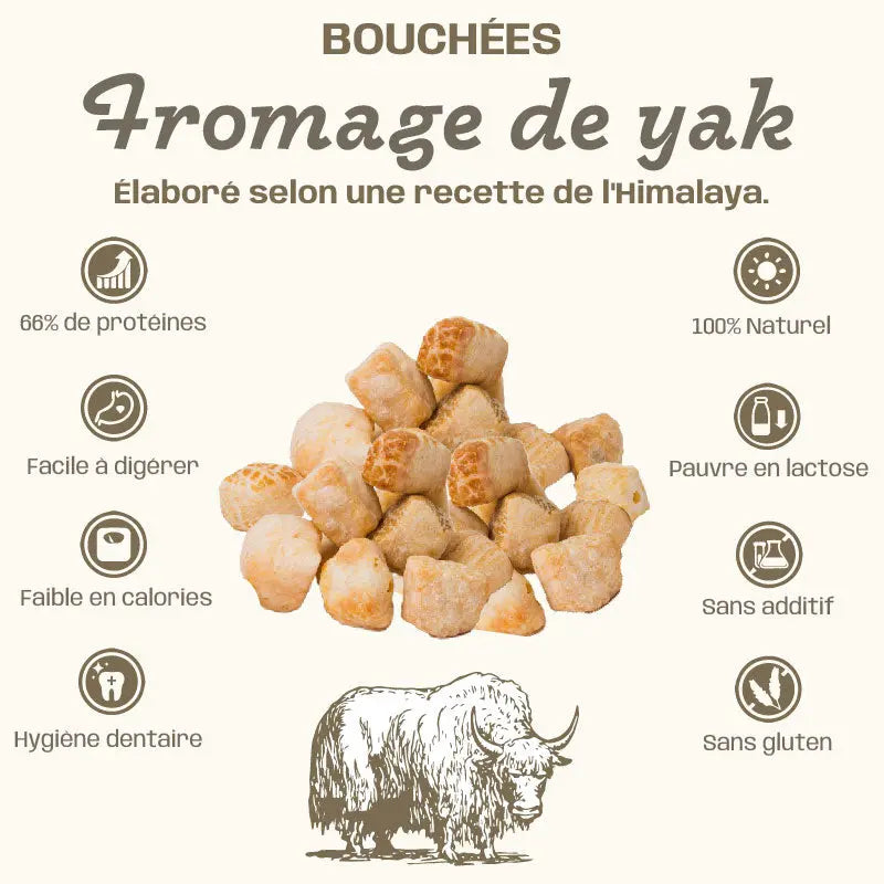BOUCHÉES DE FROMAGE DE YAK - santé dentaire Felicani+