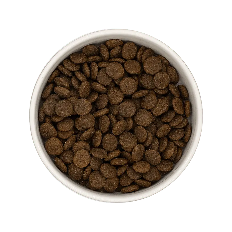 ** CHIEN ADULTE, ANTI-FLATULENCES, PORC, SPECIAL BOULEDOGUE Felicani+