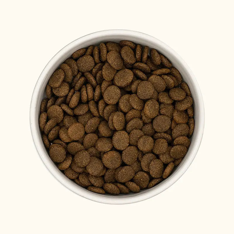 *** CHIEN ADULTE, ARTICULATION & PEAU - BUFFLE ITALIEN Felicani+