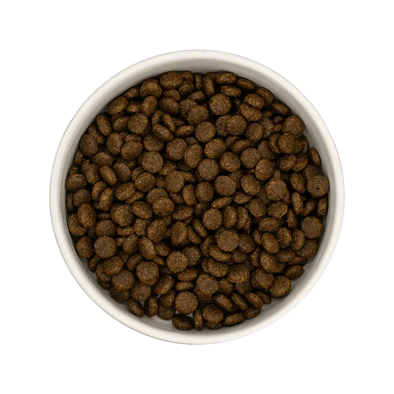 ** CHAT ADULTE, ANTIBOULES DE POILS, DINDE
