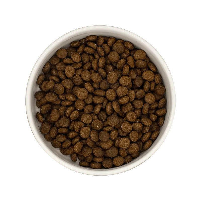 ** CHAT ADULTE, POIDS DE FORME, SAUMON Felicani+