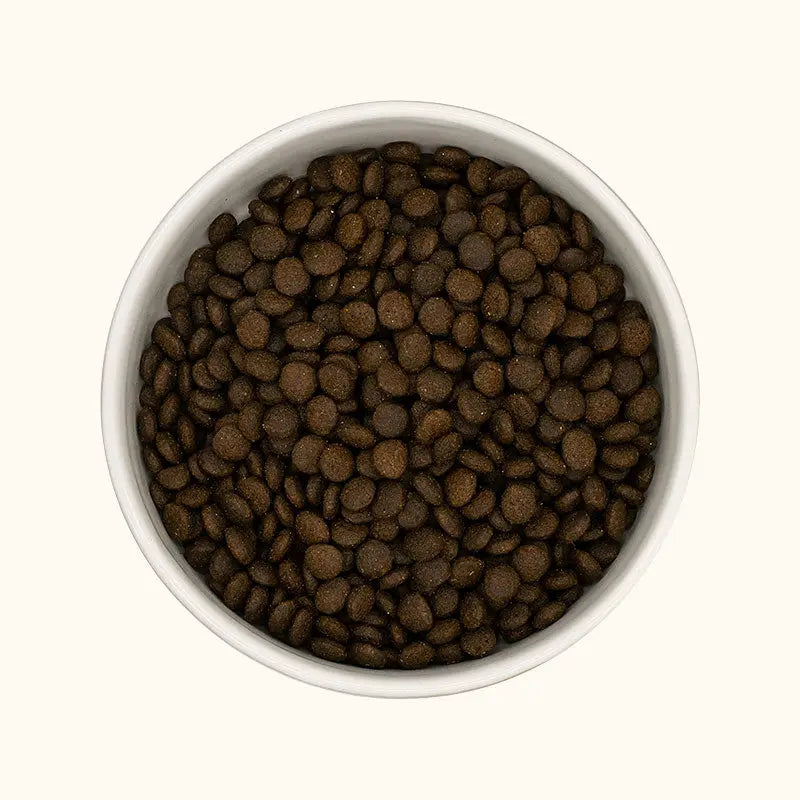 photo des croquettes