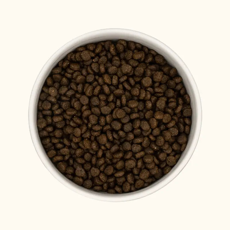 ** CHIEN PETITE RACE, ARTICULATION & PEAU, SAUMON TRUITE Felicani+