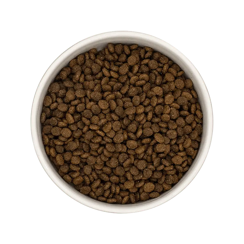 ** CHIEN PETITE RACE, SANTÉ DIGESTIVE, AGNEAU Felicani+