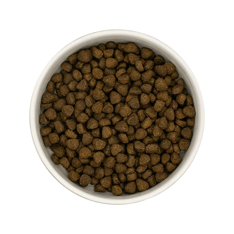 *** CHIEN PETITE RACE, SANTÉ DIGESTIVE, BOEUF ANGUS Felicani+