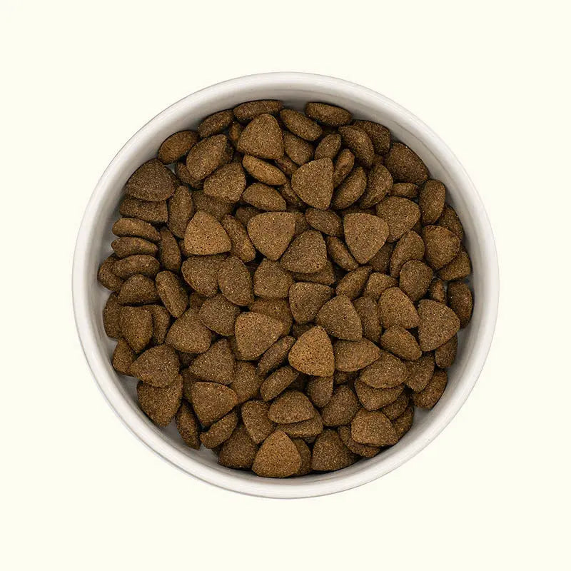 *** CHIEN ADULTE, ARTICULATION & SANTE DIGESTIVE - BOEUF ANGUS Felicani+