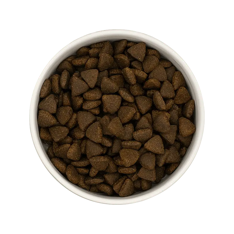 *** CHIEN ADULTE - ARTICULATION & PEAU - SAUMON Felicani+