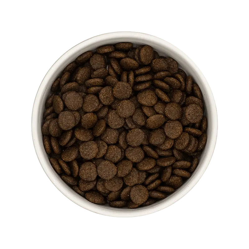 ** CHIEN ADULTE, ARTICULATIONS, AIGLEFIN Felicani+