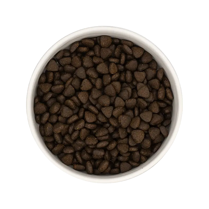 *** CHIEN PETITE RACE, SANTÉ DIGESTIVE, SAUMON Felicani+