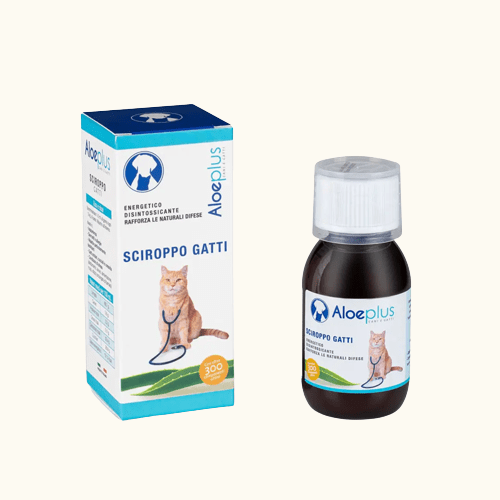 SIROP - CHAT