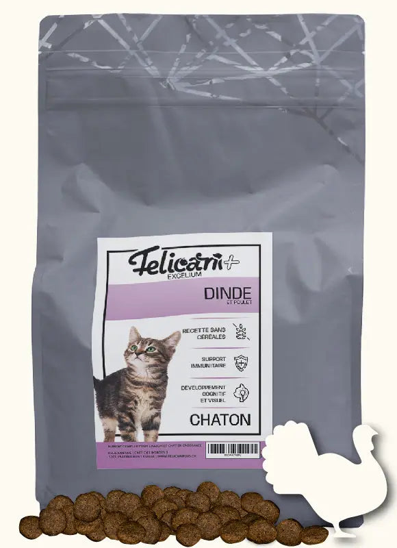 *** CHATON, CHAT EN CROISSANCE , DINDE POULET, Felicani+