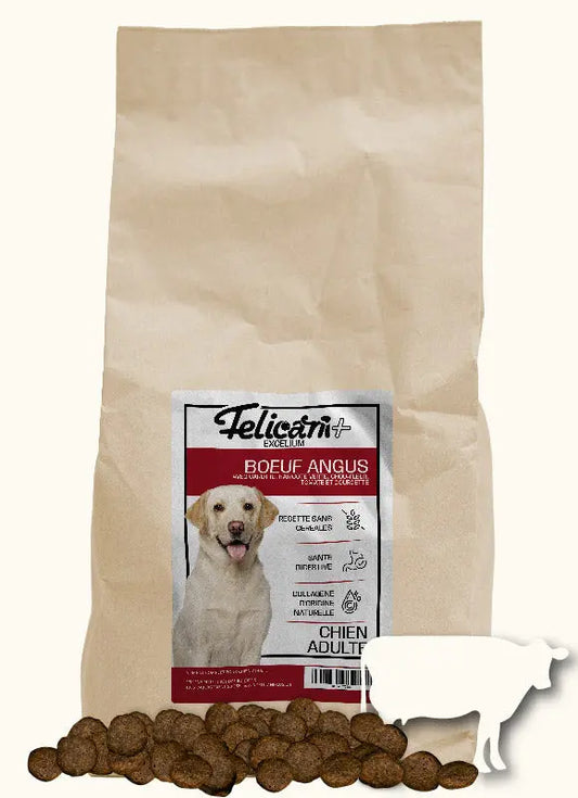 *** CHIEN ADULTE, ARTICULATION & SANTE DIGESTIVE - BOEUF ANGUS Felicani+