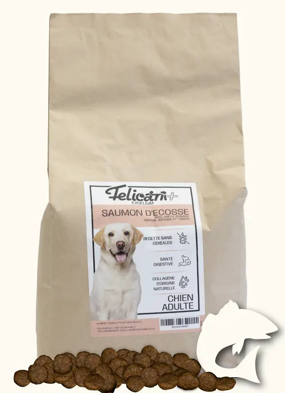 *** CHIEN ADULTE - ARTICULATION & PEAU - SAUMON Felicani+