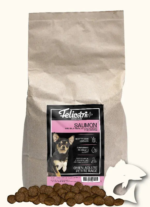 ** CHIEN PETITE RACE, ARTICULATION & PEAU, SAUMON TRUITE Felicani+