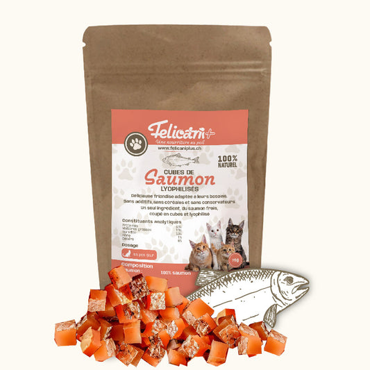 BOUCHÉES DE SAUMON LYOPHILISÉES - CHAT