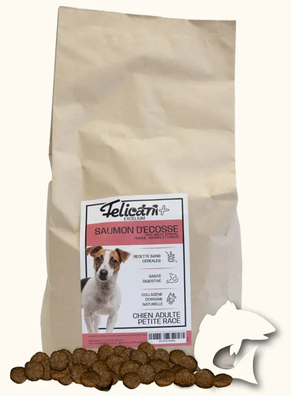 *** CHIEN PETITE RACE, SANTÉ DIGESTIVE, SAUMON Felicani+