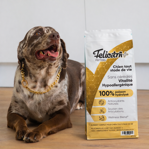 VETINIUM - Chien - vitalité hypoallergique - poisson