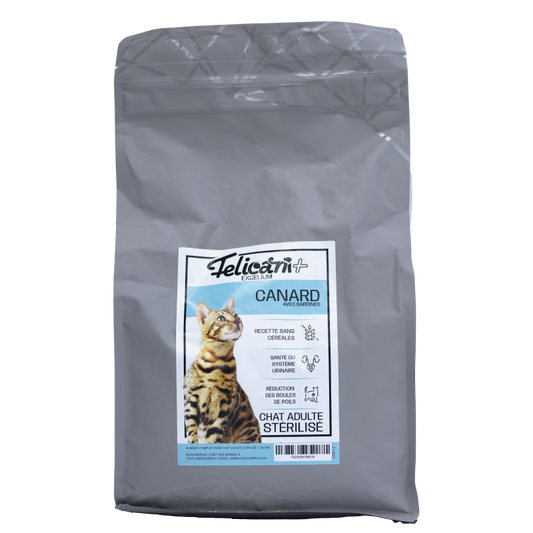 *** CHAT STÉRILISÉ, ARTICULATIONS, CANARD SARDINES