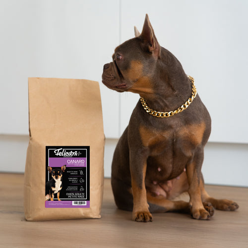 ORIGINIUM - Chien petite race - santé peau & pelage - canard