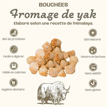 BOUCHÉES DE FROMAGE DE YAK - santé dentaire Felicani+