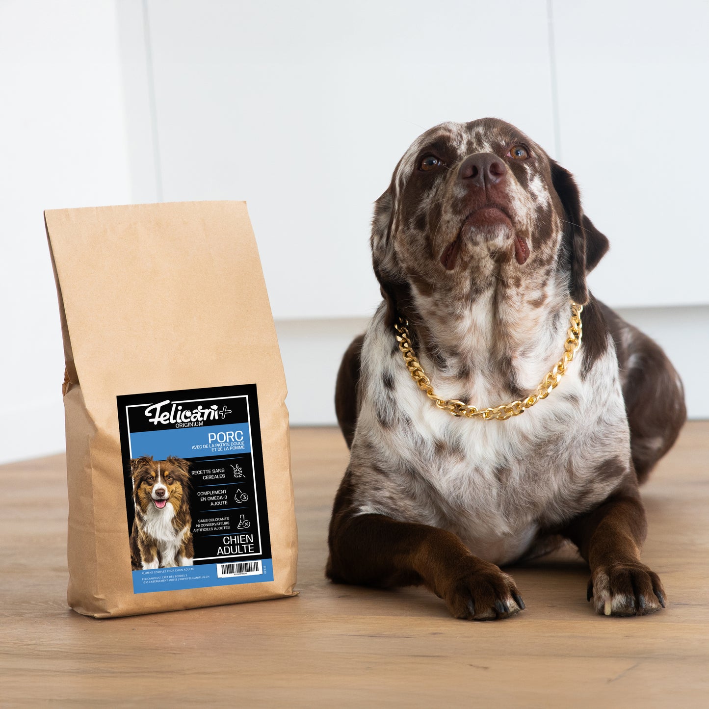 ** CHIEN ADULTE, ANTI-FLATULENCES, PORC, SPECIAL BOULEDOGUE