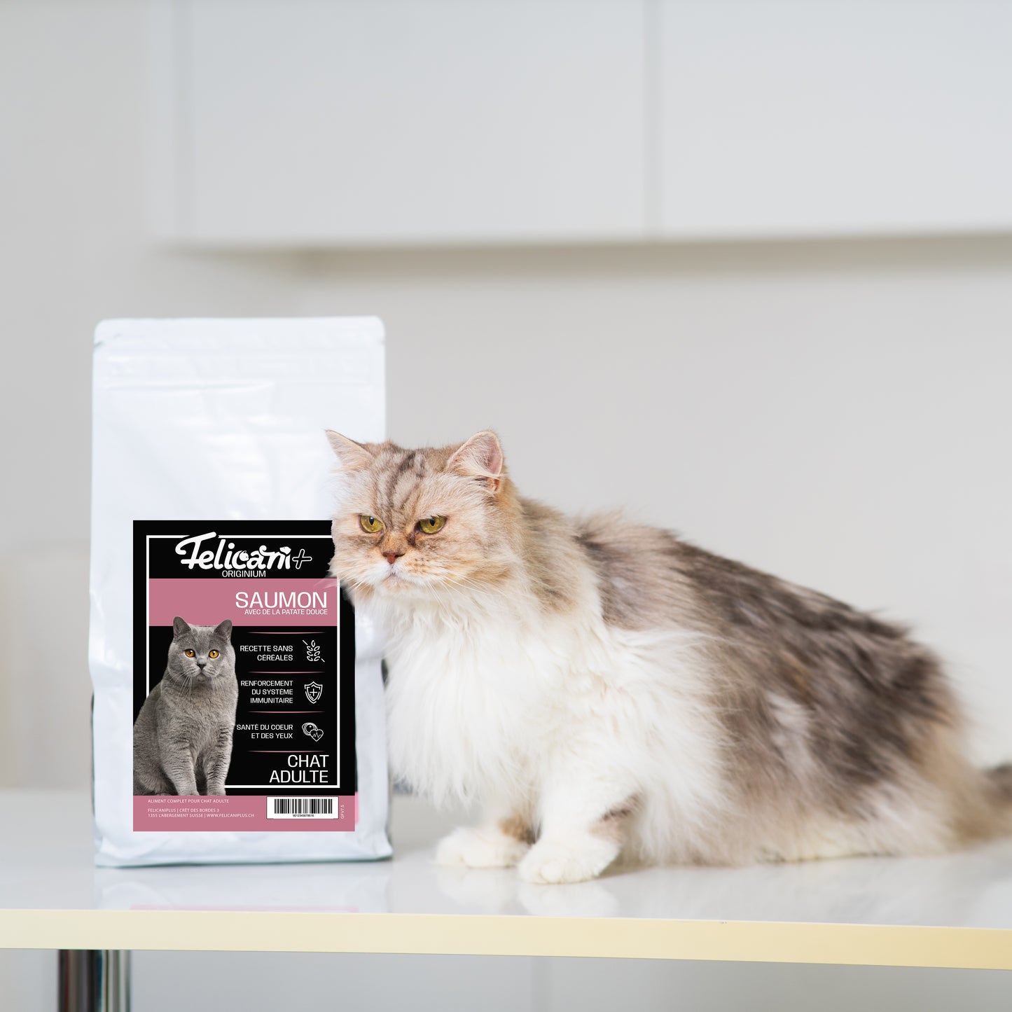 ** CHAT ADULTE, DÉFENSE IMMUNITAIRE, SAUMON