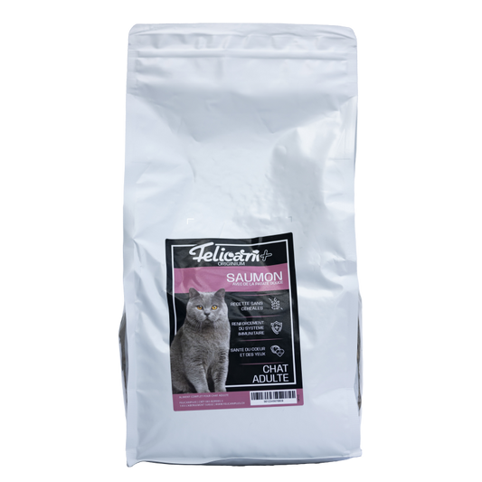 ** CHAT ADULTE, DÉFENSE IMMUNITAIRE, SAUMON