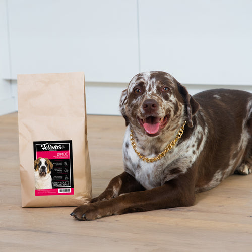 ORIGINIUM - Chien grande race - articulations - dinde