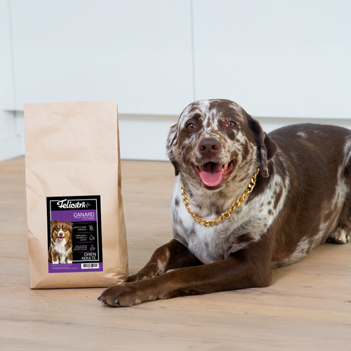 ORIGINIUM - Chien adulte - digestion pelage et immunité - Canard