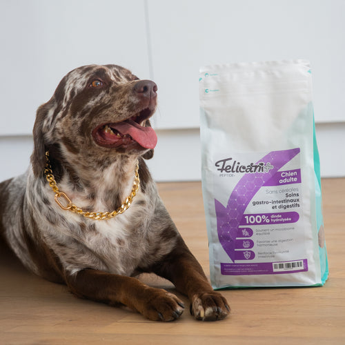 VETINIUM - Chien - soins gastro intestinaux et digestif - dinde