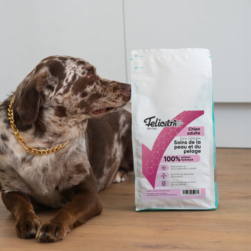 VETINIUM - Chien - soins de la peau et du pelage - saumon