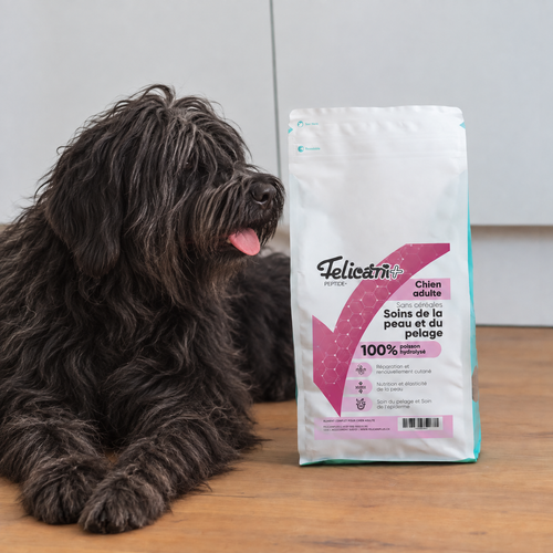 VETINIUM - Chien - soins de la peau et du pelage - saumon