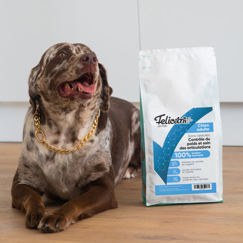 VETINIUM - Chien - contrôle du poids et soin des articulations - poissons blancs