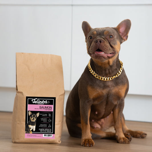 ** CHIEN PETITE RACE, ARTICULATIONS & PEAU, SAUMON TRUITE