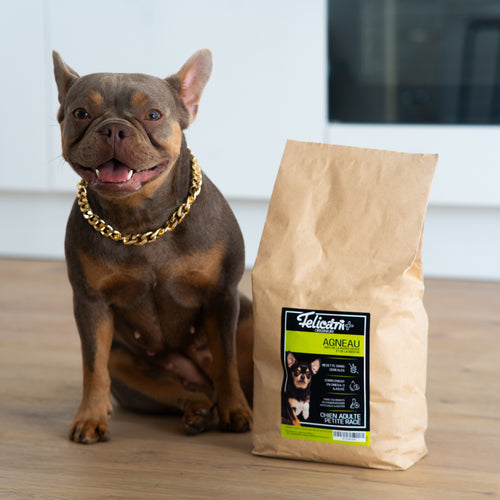 ORIGINIUM - Chien petite race - santé digestive - agneau