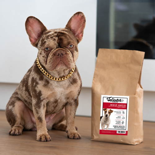 EXCELIUM - Chien petite race - santé digestive - boeuf angus