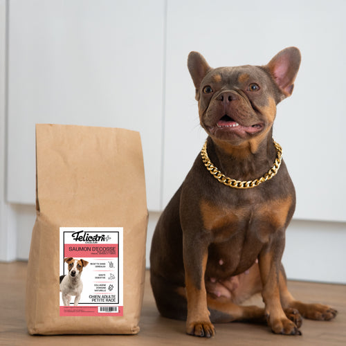 EXCELIUM - Chien petite race - santé digestive - saumon