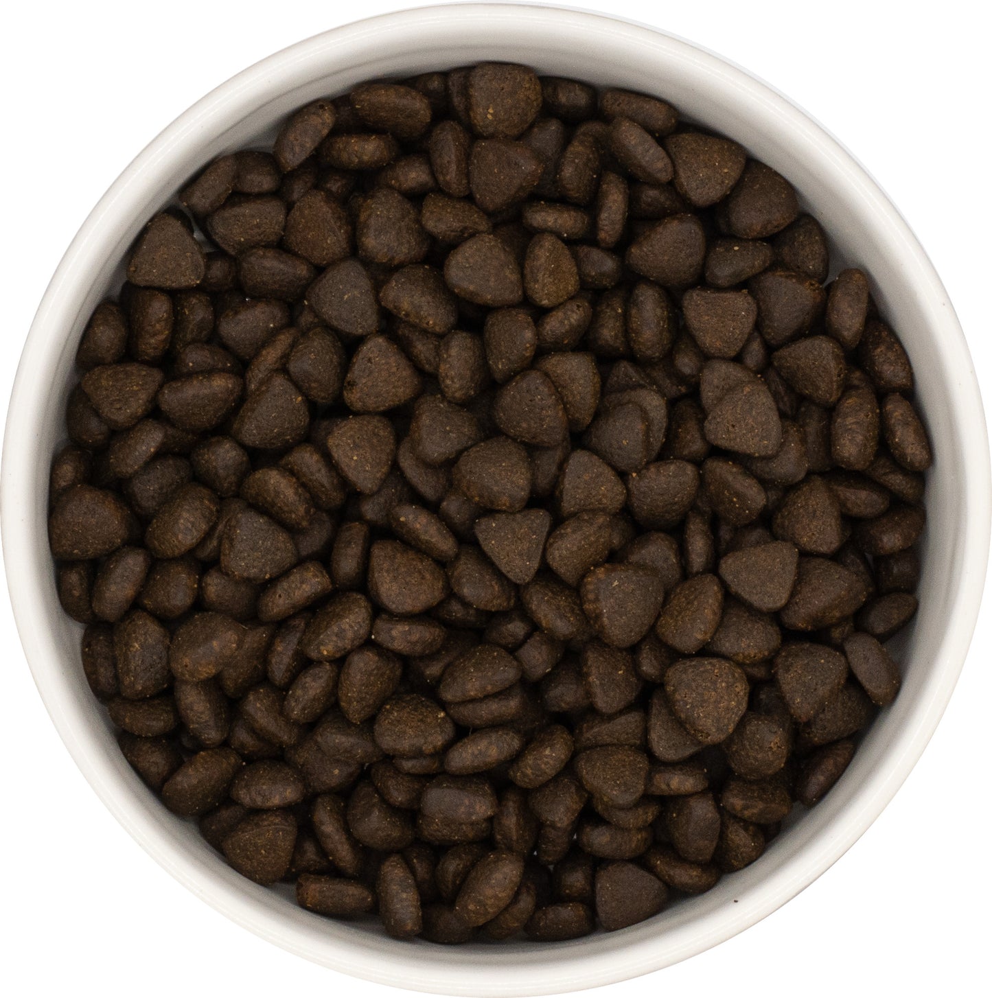 *** CHIEN PETITE RACE, SANTÉ DIGESTIVE, SAUMON