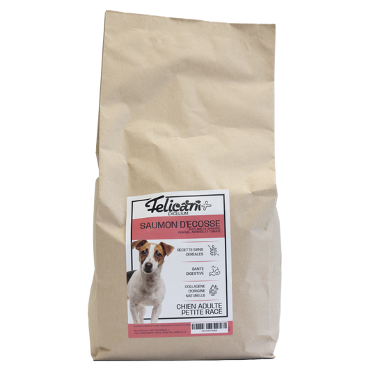 *** CHIEN PETITE RACE, SANTÉ DIGESTIVE, SAUMON