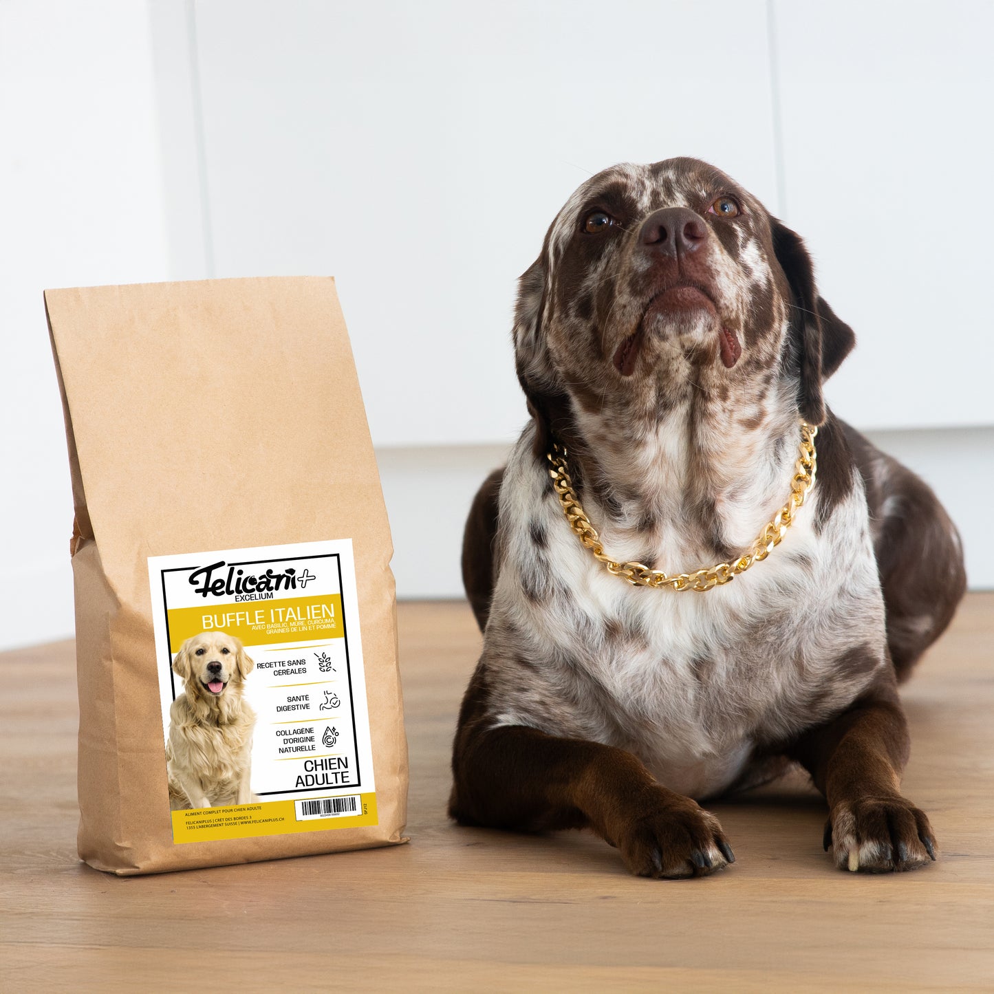 *** CHIEN ADULTE, ARTICULATIONS - BUFFLE ITALIEN