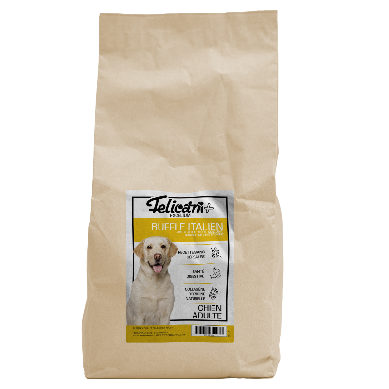 *** CHIEN ADULTE, ARTICULATIONS - BUFFLE ITALIEN