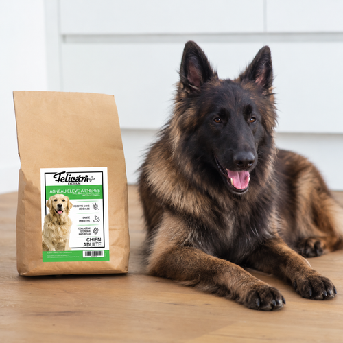 EXCELIUM - Chien adulte - sante digestive - agneau