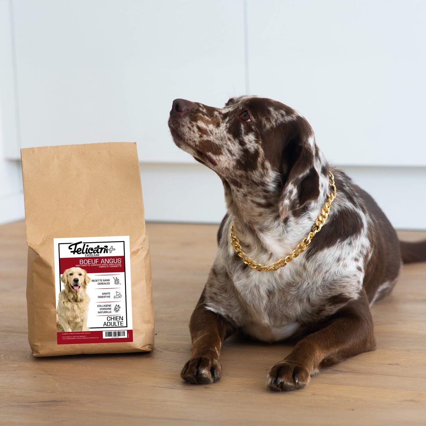 *** CHIEN ADULTE, SANTE DIGESTIVE - BOEUF ANGUS