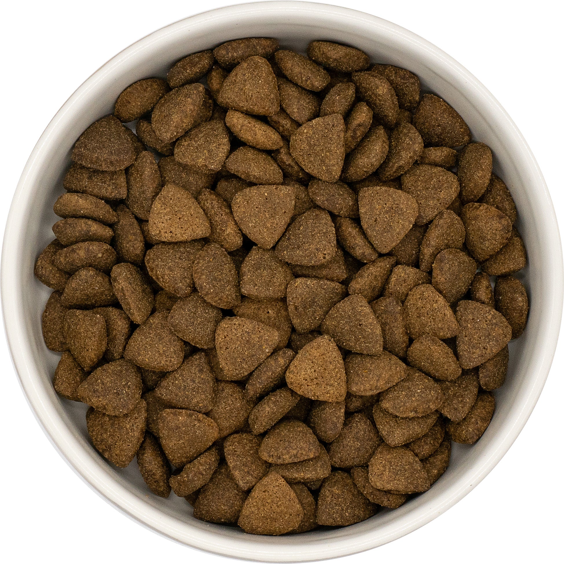 EXCELIUM - Chien adulte - santé digestive - boeuf angus