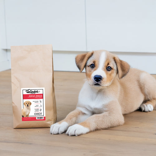 EXCELIUM - CHIOT EN CROISSANCE - BOEUF ANGUS