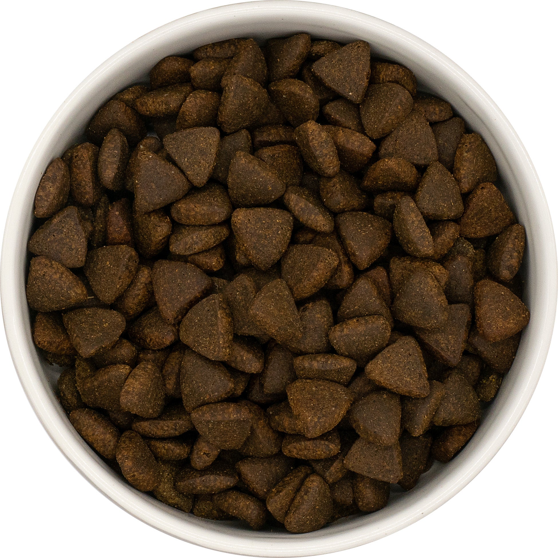 EXCELIUM - Chien adulte - articulations & peau - saumon d'ecosse