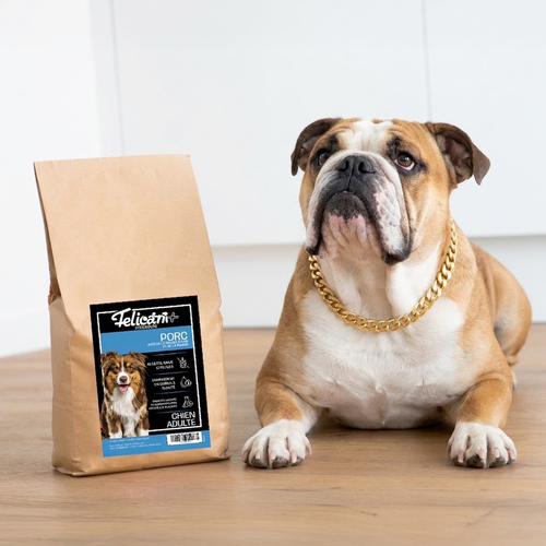 ORIGINIUM - Chien adulte - anti-flatulences (spécial bouledogue) - porc